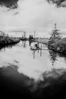 16bw