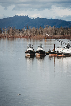 Ship in Cathlamet from the bridge